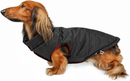 Vista 18 de DJANGO Abrigo de invierno reversible para perros con acolchado – Chaqueta de invierno cálida para perros y abrigo aislante repelente al agua