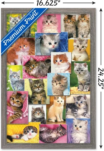 Vista 3 de Trends International Keith Kimberlin - Póster de pared de collage de gatitos, 14.725 x 22.375 pulgadas, versión enmarcada de madera de granero