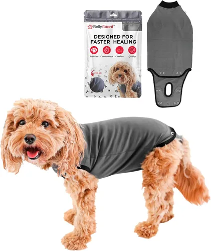 Vista 9 de Traje de Recuperación Quirúrgica BellyGuard para Perros, Mameluco para Perros para Cuidado Post-Operatorio, Ropa de Recuperación para Perros Hembra