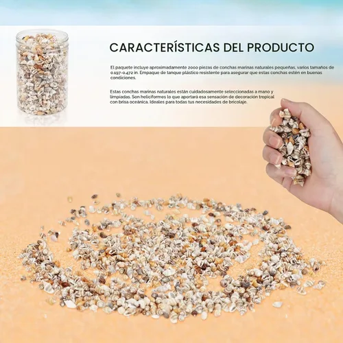 Vista 7 de WEOXPR 2000 piezas de pequeñas conchas marinas para manualidades, conchas Conchas Marinas Mixtas
