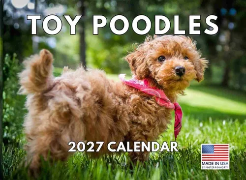 Vista 127 de Calendario mensual de pared Airedale Terrier Dog 2027