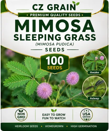 Vista 11 de CZ Grain Semillas para plantar, 40 pequeñas mezclas de calabaza