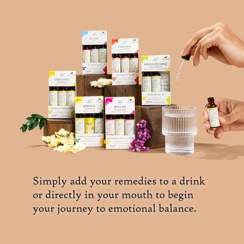 Vista 4 de Bach Remedios florales originales, kit de trío Clarity Of Mindfulness, para concentración y atención plena (fórmula sin alcohol), esencia floral