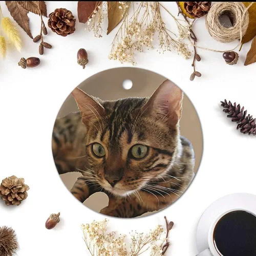 Vista 3 de Adorno de Navidad de gato atigrado decorativo colgante adorno de árbol de Navidad, adornos de recuerdo de Navidad, adornos de recuerdo de 3 pulgadas