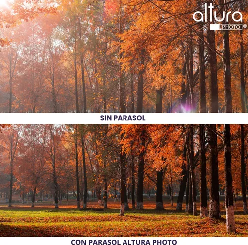 Vista 6 de Altura Photo 58 mm Parasol de objetivo de tulipán para cámaras Canon EOS 77D 80D 90D Rebel T8i T7 T7i T6i T6s T6 SL2 SL3 DSLR con lentes Canon EF-S