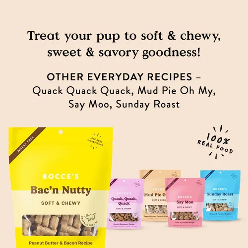 Vista 5 de Bocce's Bakery Bac'n Nutty - Golosinas suaves y masticables para perros, sin trigo con sabor a mantequilla de maní y tocino, galletas naturales