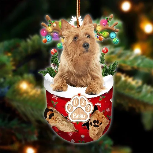 Vista 14 de NAZENTI Adorno Navideño de Bolsillo Personalizado de Affenpinscher en la Nieve, Adorno de Forma Acrílica de Perro, Adorno de Navidad 2023, Adorno
