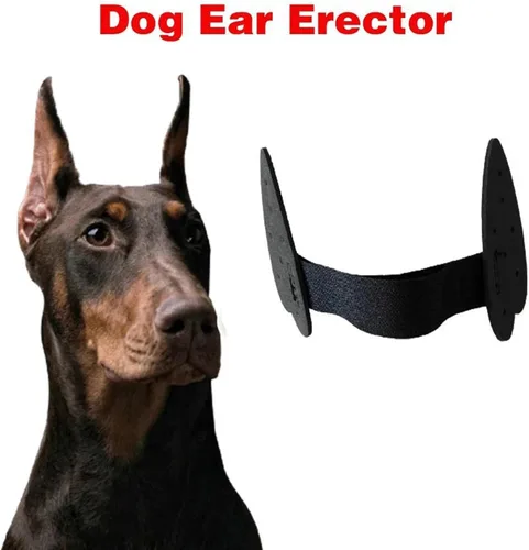 Vista 4 de 2 piezas de herramientas para el cuidado de orejas de perro para mascotas, calcomanías de orejas de perro para perro alemán, doberman pinscher