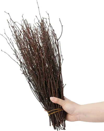 Vista 5 de SOUJOY 100 ramitas de abedul para jarrón, ramas de abedul secas naturales de 16 pulgadas, decoración artesanal de abedul para bricolaje, centros
