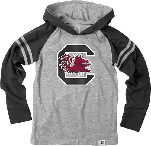 Vista 21 de Wes and Willy - Sudadera con capucha de manga larga para niños de universidad con rayas