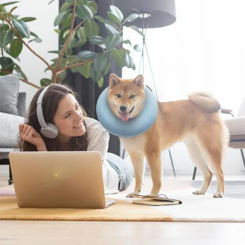 Vista 7 de Big Ant Collar inflable protector para perros y gatos, cono suave para perros después de la cirugía, collar de dona para cuello de perro, collar