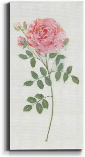 Vista 69 de Renditions Gallery Master Botanical II - Arte de pared, decoración en lienzo de alta calidad con envoltura de galería, listo para colgar, 16
