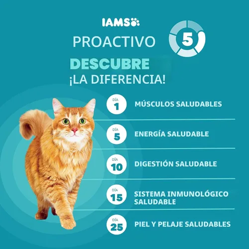 Vista 3 de Iams Proactive Health Adult Indoor Weight & Hairball Control Comida seca para gatos Vet-recommended, Real Chicken #1 Ingredient, Proprietary Fiber