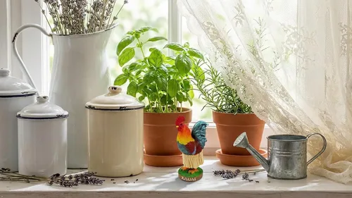 Vista 4 de KC Hawaii Mini muñeca de tablero Kauai Rooster