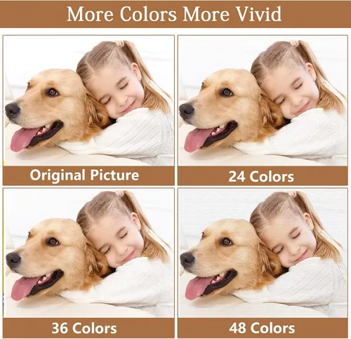 Vista 3 de Kit personalizado de pintura por números para adultos, lienzo personalizado de pintura al óleo para personalizar tus imágenes, pinturas de color por