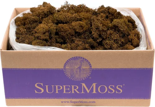 Vista 36 de Super Moss (23164) Musgo de reno preservado, fucsia, 2 onzas Musgo preservado suave, decoración del hogar, manualidades y terrarios, diseño