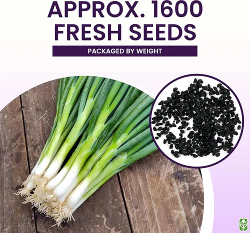 Vista 3 de Deliciosa ensalada blanca agrupamiento de cebolletas verdes semillas - Fácil de cultivar - Sin OMG - 1600 semillas