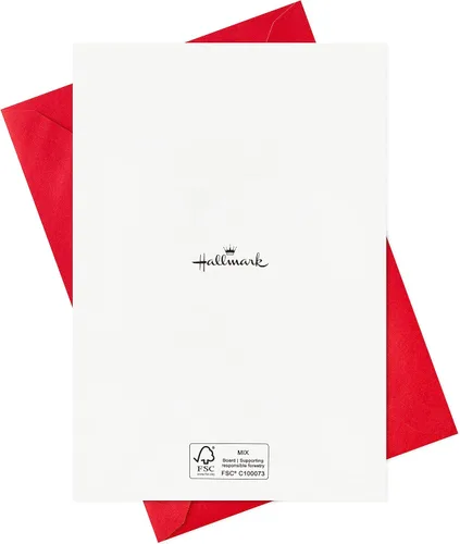 Vista 8 de Hallmark - Tarjetas navideñas en caja de colores (24 tarjetas y sobres) Esperanza, Unidad, Bondad