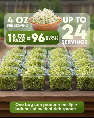 Vista 3 de Nature Jims Sprouts Semillas de brócoli orgánicas para germinar, certificadas sin OMG, ricas en sulforafano, semillas microverdes de crecimiento