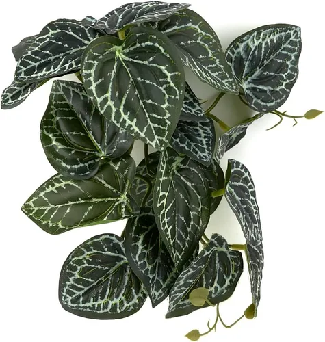 Vista 9 de Plantas de Reptiles para Terrario, Decoración de Hábitat de Anfibios Plantas Colgantes Artificiales con Ventosa - Alocasia Terciopelo Negro Falsa
