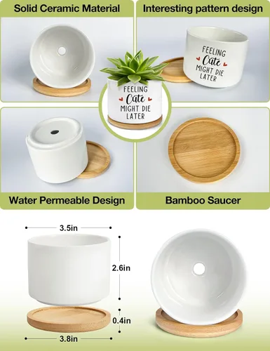 Vista 4 de Feeling Cute Might Die Later - Maceta de cerámica grabada para suculentas, aloe y cactus, divertidas macetas de interior con bandeja de bambú