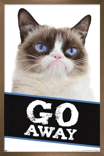 Vista 14 de Trends International Grumpy Cat - Póster de pared con texto en inglés «Go Away», 14.725 x 22.375 pulgadas, versión enmarcada de madera de granero