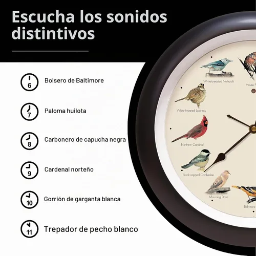 Vista 6 de Mark Feldstein, Reloj de Pared Original con Pájaro Cantante, 13 Pulgadas, Negro
