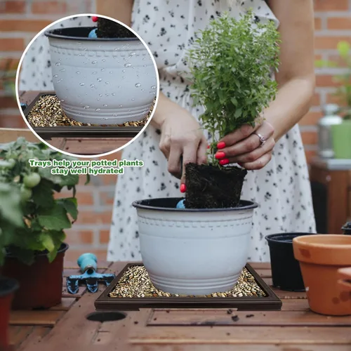 Vista 4 de 2 macetas de bonsái para goteo de humedad, bandeja cuadrada de drenaje para árboles bonsái de cactus, accesorios (negro)