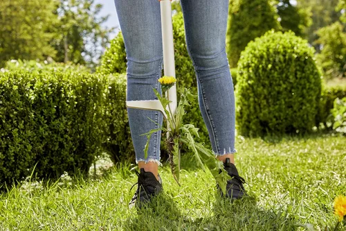 Vista 7 de Gardena Extractor de malezas de pie con eyector incorporado, mango largo Diseño resistente para una fácil eliminación de malezas sin doblarse