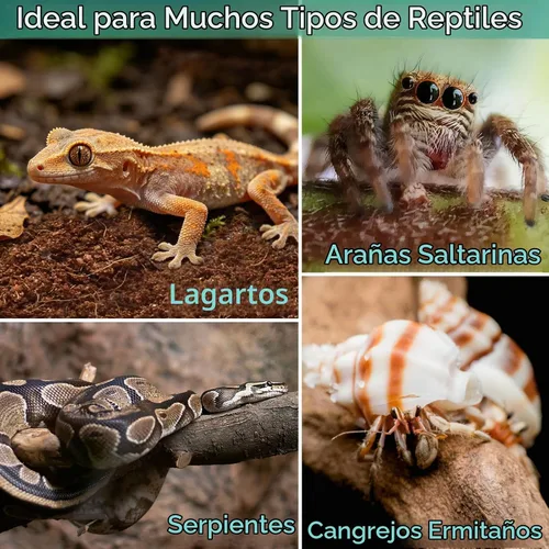 Vista 6 de Halatool - Paquete de 1 sustrato de fibra de coco comprimido para reptiles 1 Paquete