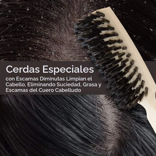 Vista 7 de Fuller Brush Cepillo profesional Lustre