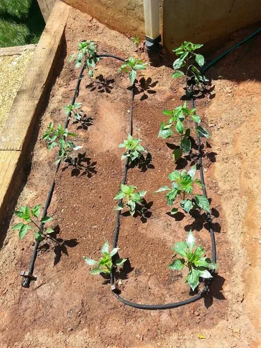 Vista 4 de Rocky Mountain Goods – Manguera de agua plana para riego de plantas y flores – diseño de doble capa resistente – ahorra un 70 % de agua – goteo