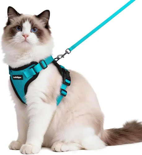 Vista 26 de rabbitgoo Cat Harness and Leash Set, Escape Proof Vest, XXS, Berry Pounce Soft Breathable Mesh, No-choke Adjustable Fit, Snap Buckles, Sturdy
