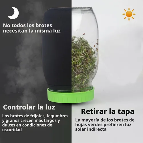 Vista 2 de Kit de tarro de germinación de semillas con tarros Mason de boca ancha, tapas de brotes de pantalla de acero inoxidable de alta calidad, mangas