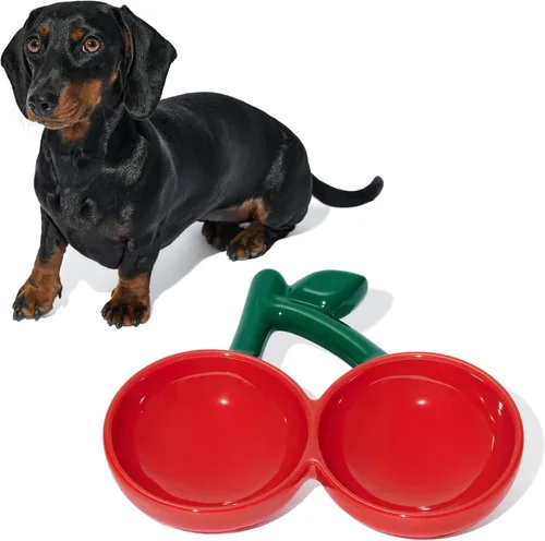 Vista 7 de VETRESKA Cuenco de cerámica para mascotas, diseño inclinado, comedero para mascotas para alimentos y agua, cuencos antivómitos para gatos