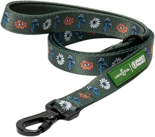 Vista 21 de Correa para perros de diseño Lucy & Co. - Accesorios para mascotas - Correa gruesa para perros - Asa acolchada para mayor comodidad - Entre