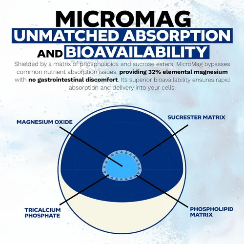 Vista 5 de Nootropics Depot MicroMag - Cápsulas de magnesio 625 mg 30 unidades Contiene 200 mg de magnesio elemental