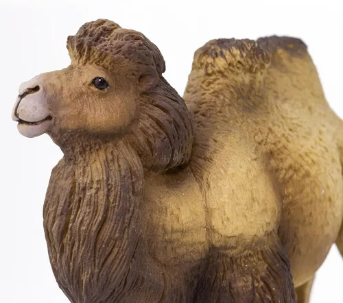 Vista 4 de Safari Ltd. Figura de camello bactriano, figura realista de vida silvestre de 4.25 pulgadas, juguete educativo para niños, niñas y niños a partir