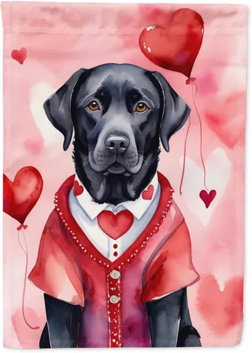 Vista 41 de Caroline's Treasures DAC5252GF Affenpinscher - Bandera de jardín con texto en inglés "My Valentine", bandera decorativa para patio exterior, patio