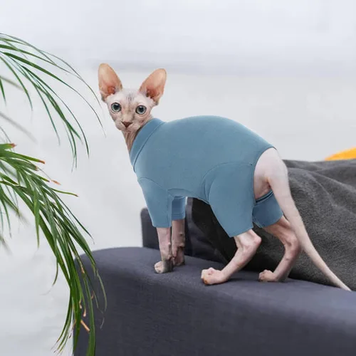 Vista 6 de ROZKITCH Suéter XS para Gato, Suéteres Suaves y Transpirables Solo para Sphynx, Abrigo con Cuatro Patas, Suéter Cálido Camiseta Pijama Mono Chaleco
