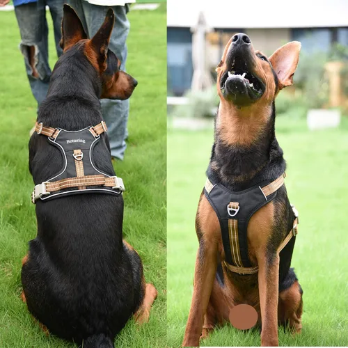Vista 8 de Arnés negro para perro sin tirones con 2 clips para correa, acolchado suave ajustable, chaleco reflectante Oxford sin estrangulamiento para mascotas