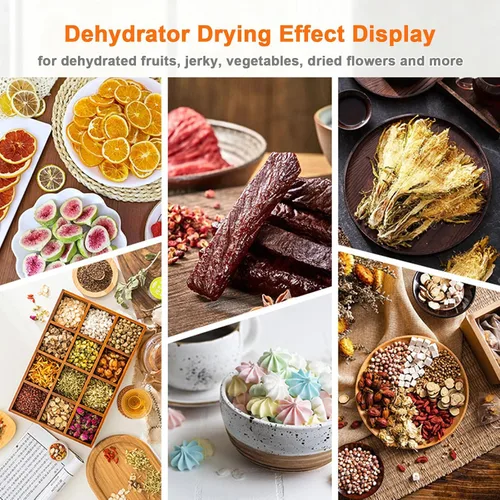 Vista 7 de Food Dehydrator Machine, 6 Stainless Steel Trays, 700W Electric Food Dryer with Adjustable Temperature & 24-Hour Timer, for Jerky, Meat, Fruit Silver