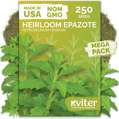 Vista 9 de KVITER 1000 semillas de quinua de cordero (Chenopodium Album) - Hierbas comestibles autóctonas, ideales para jardines de hierbas orgánicas