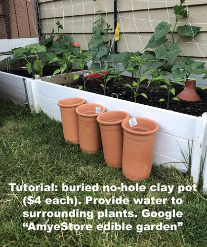 Vista 5 de Semillas de calabaza amarga asiática para plantar verduras y frutas. Semillas de verduras en casa huerto y vainas de semillas hidropónicas, semillas