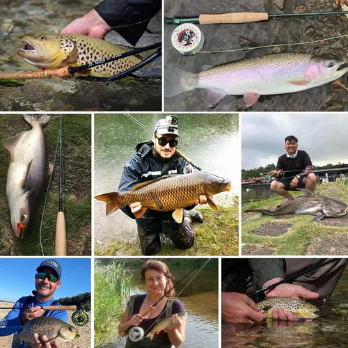 Vista 7 de M MAXIMUMCATCH Maxcatch Extreme - Caña de pescar con mosca de grafito extremo, 4 piezas, 9 pies con carbono IM6 en blanco, guías cromadas duro