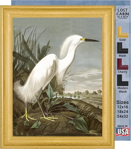 Vista 32 de Lost Cabin American Flamingo por James Audubon Impresión en marco biselado negro Reproducción de pintura de obras de arte finas Póster