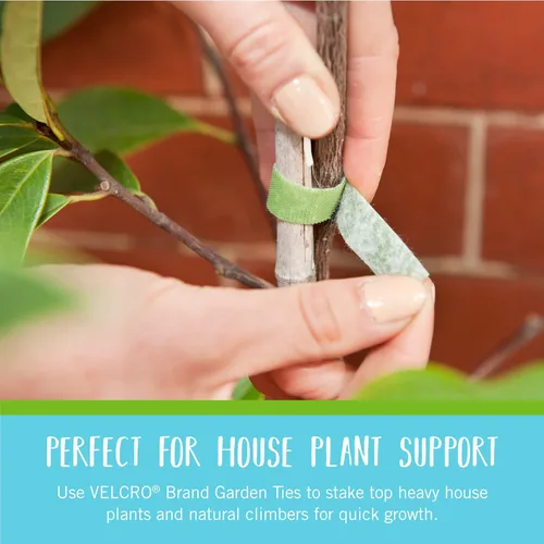 Vista 5 de VELCRO Brand VEL-30087-AMS Paquete Inicial de Lazos ONE-WRAP para Jardines en Contenedores o Plantas de Interior, 12 piezas, Pre-Cortados, 6 in x