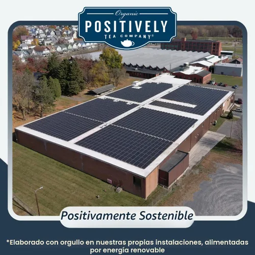 Vista 4 de Bolsas de hojas sueltas para té. Orgánicas por USDA. Positively Tea LLC.