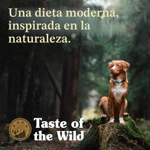 Vista 8 de Taste of the Wild Ancient Stream - Alimento seco para perros, salmón con sabor a humo, 28 libras