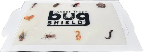 Vista 5 de Bug Shield - Trampas adhesivas de pegamento para 72 tableros de pegamento, todo tipo de incetes, arañas, cucarachas, hormigas, grillos de cuevas